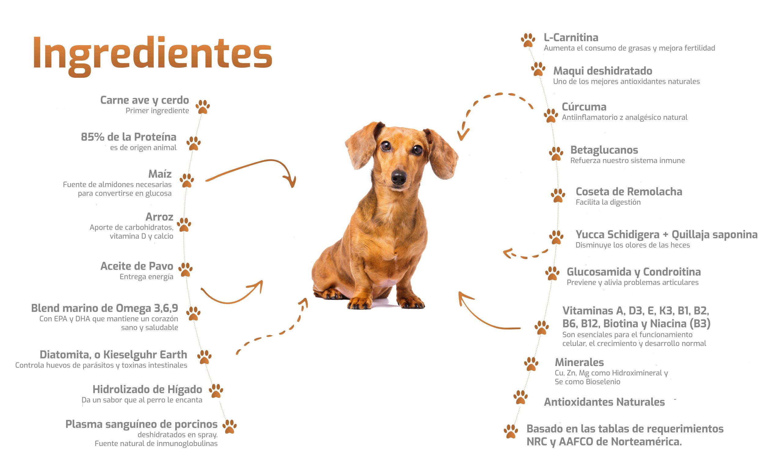 Ingredientes-Bokato-Petit-scaled